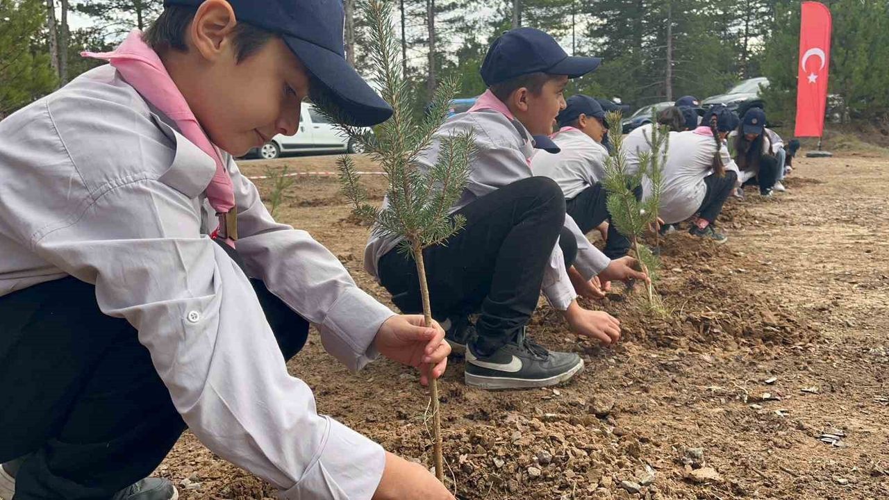 İhsangazi'de 11 Kasım'da yüzlerce fidan toprakla buluştu