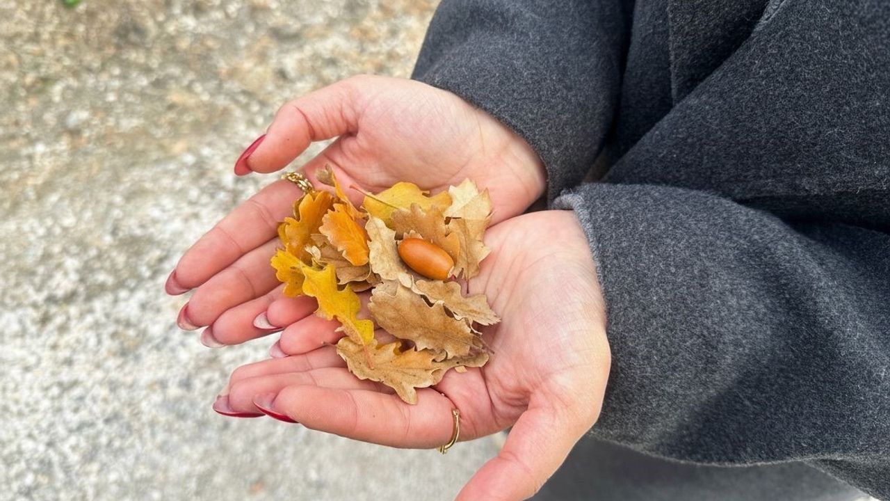 Ilgaz Dağları'nda kartpostallık sonbahar manzaraları