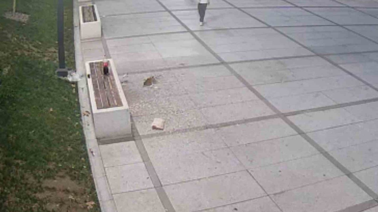 İnegöl'de kamusal alanda çekirdek atığına anında müdahale