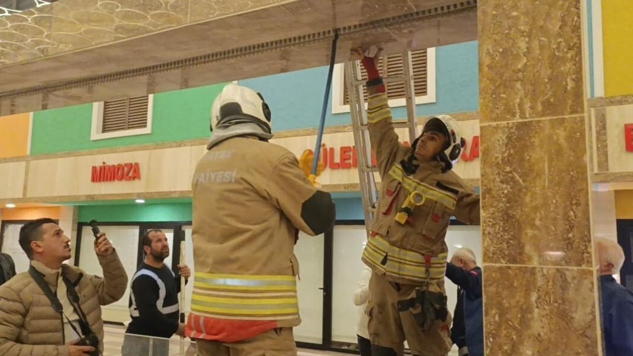 İskenderun'da duvar boşluğuna sıkışan kedi itfaiye tarafından kurtarıldı