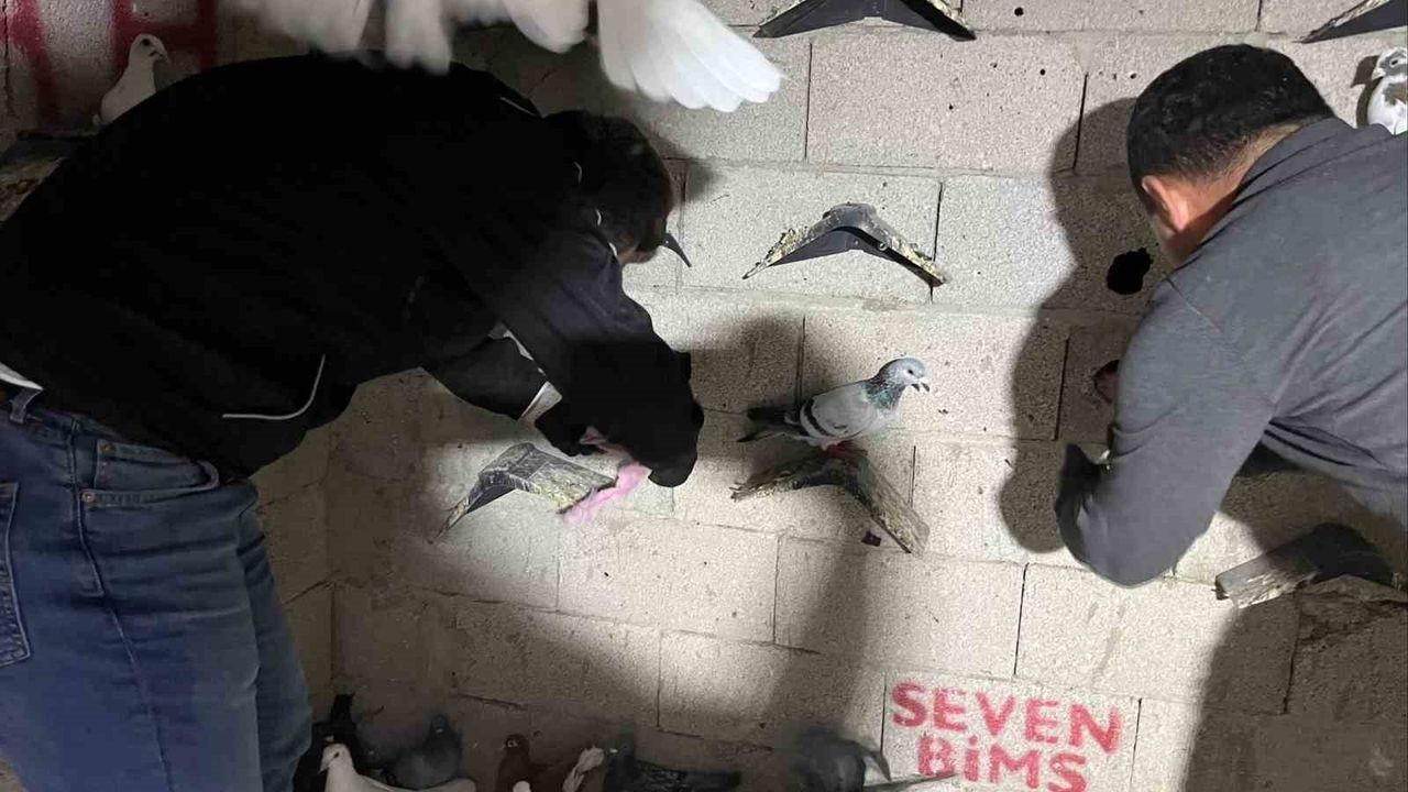 İskenderun'da kuş kümesine saklanan 2 kilo 500 gram sentetik kannabinoid ele geçirildi