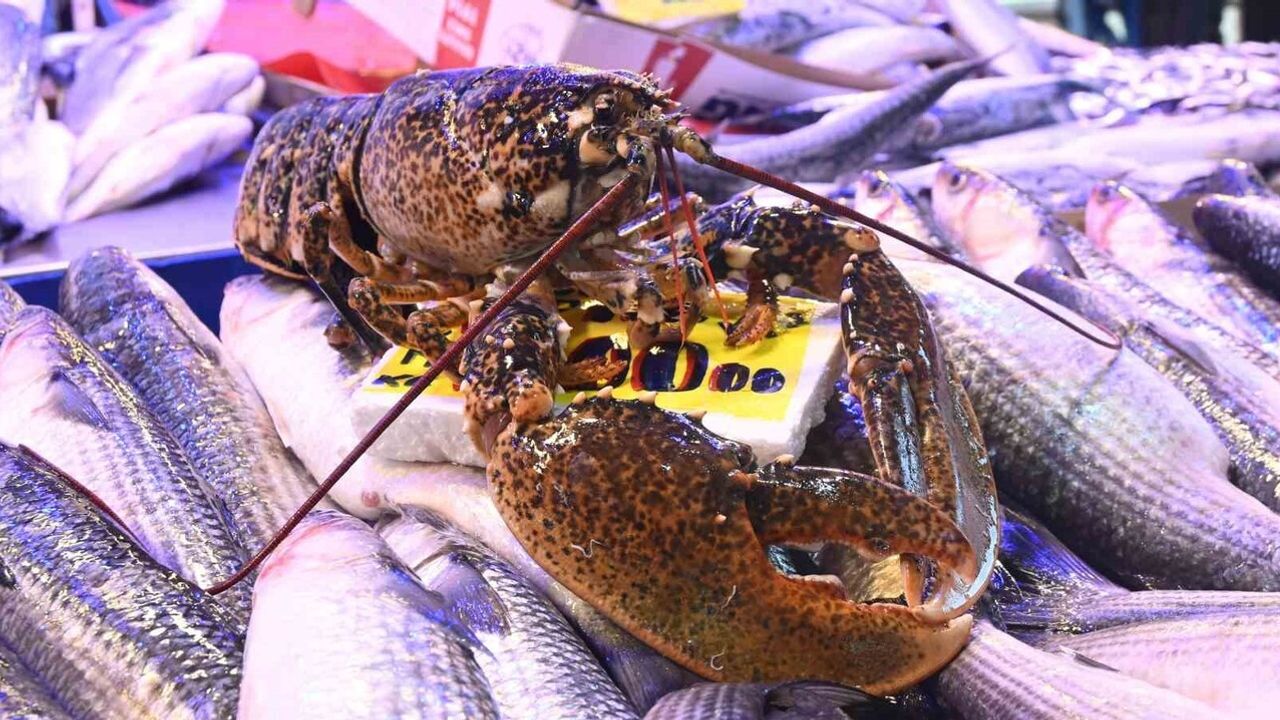 İskenderun'dan Eskişehir'e yılan balığı: Restoranlar ve özel müşteriler talepte