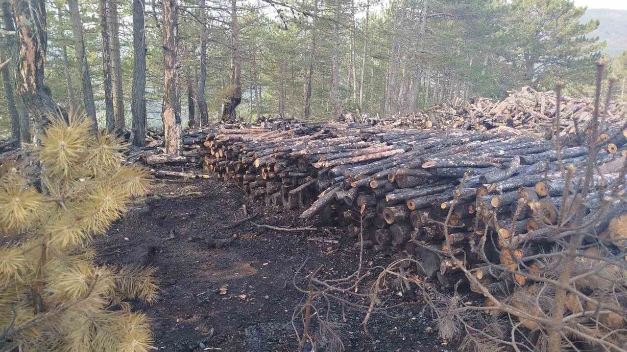 İskilip'te kesim sahasında yangın: 80 ster çam ağacı zarar gördü