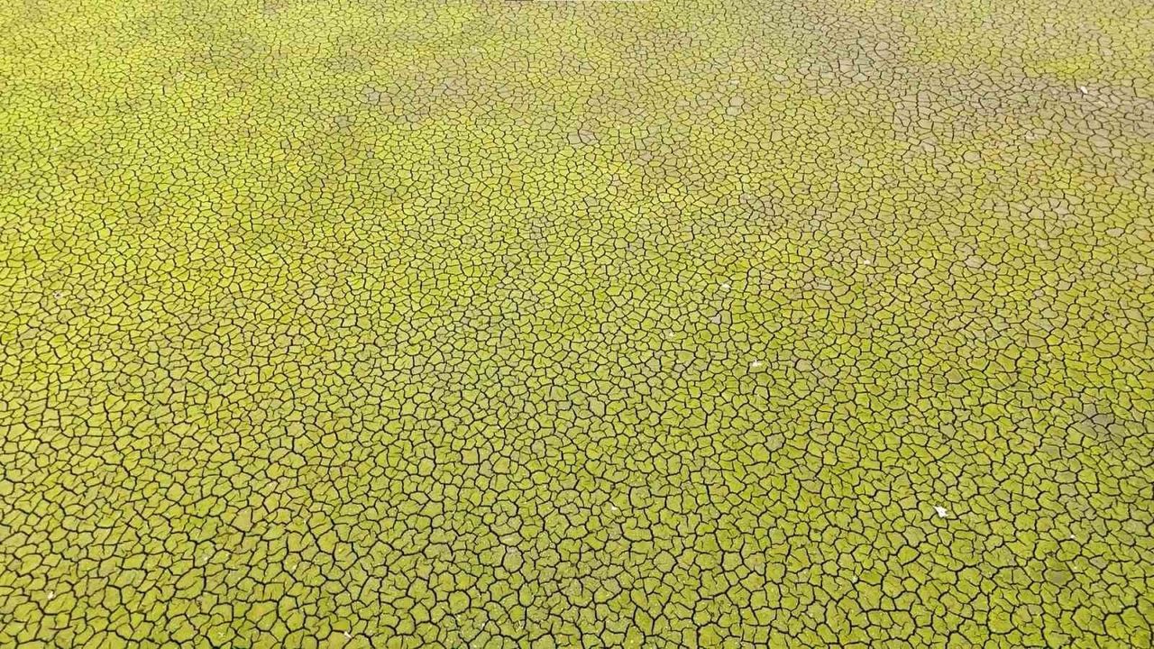 İstanbul’da Ömerli Barajı’nda su seviyesi kritik düzeye indi