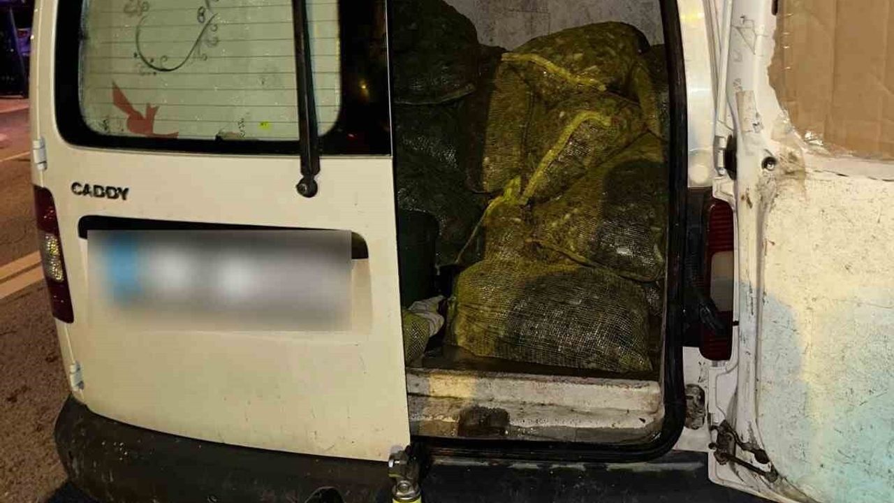 İstanbul’da yasak bölgede toplanan 2 ton 350 kilogram midyeye el konuldu