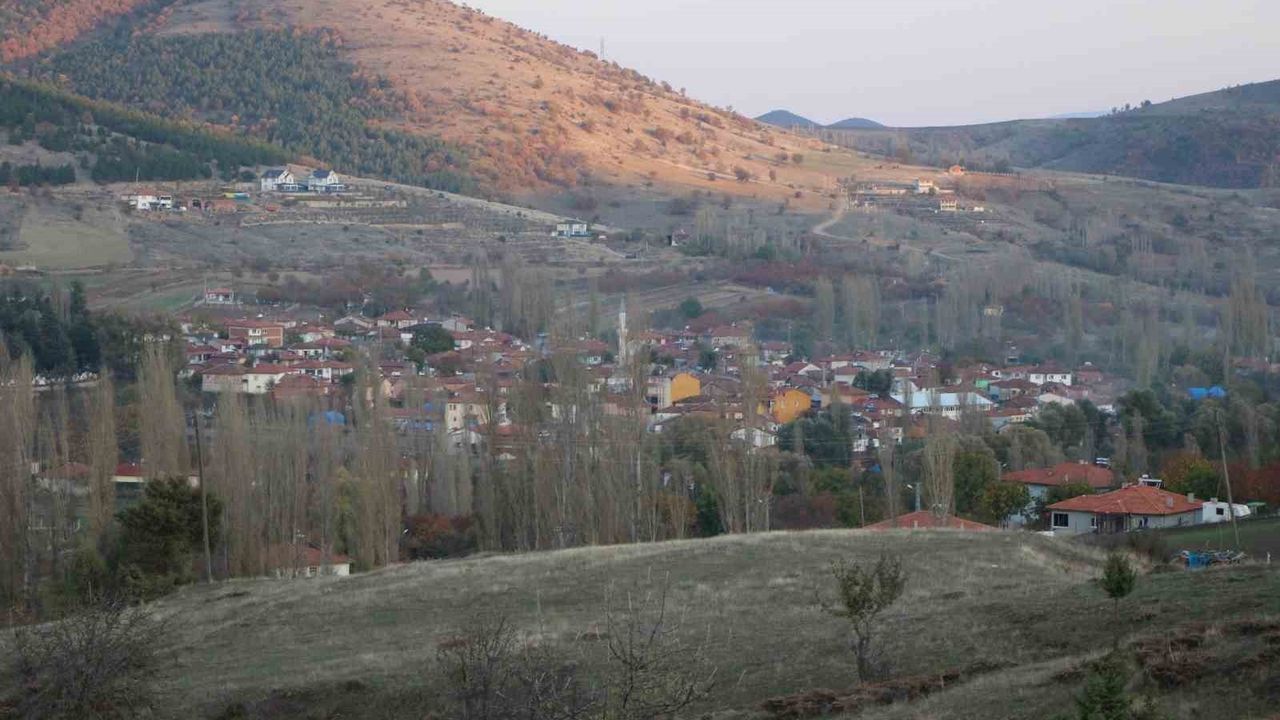 İstanbul’dan Amasya’ya dönen gıda mühendisi kadın, köyde yeşil mirası canlandırdı