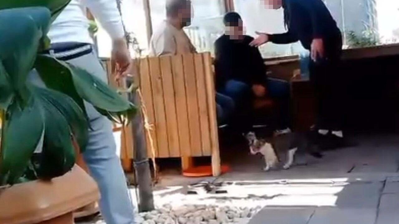 İzmir Bornova'da iddia edilen hırsızlık sonrası taksi şoförüne darp