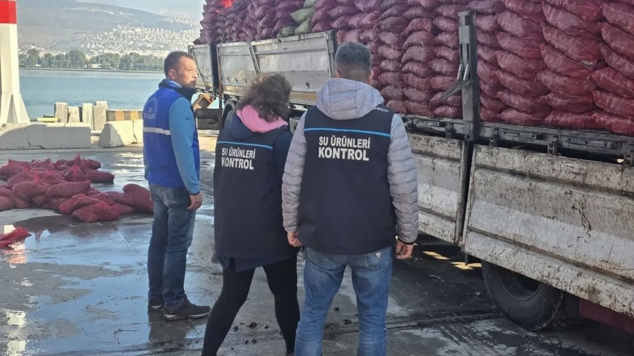 İzmir'de 27 ton belgesiz kara midye ele geçirildi