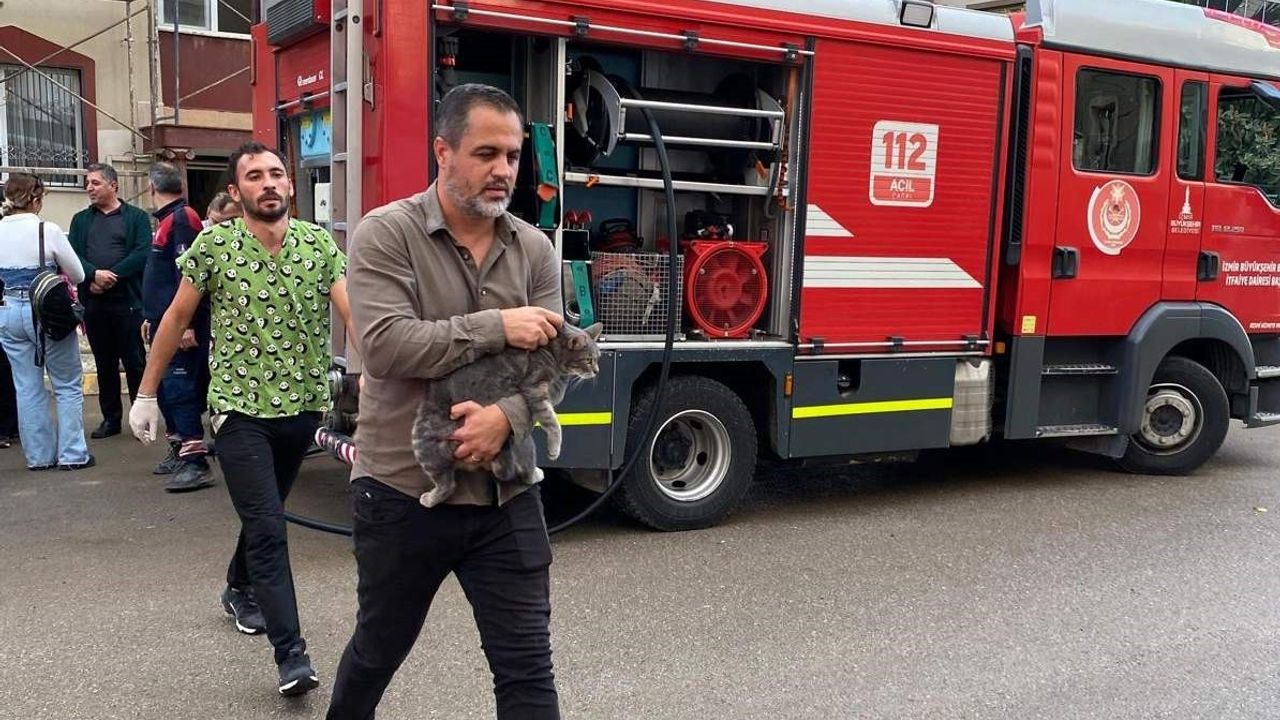 İzmir’de itfaiye ekipleri kanala düşen köpeği ve yangından etkilenen kedileri kurtardı