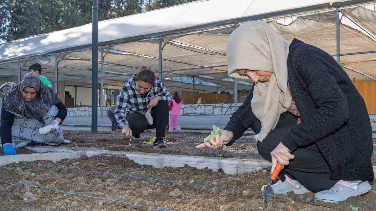 İzmir’de Mahalle Bostanlarında Kış Dikimleri Başladı