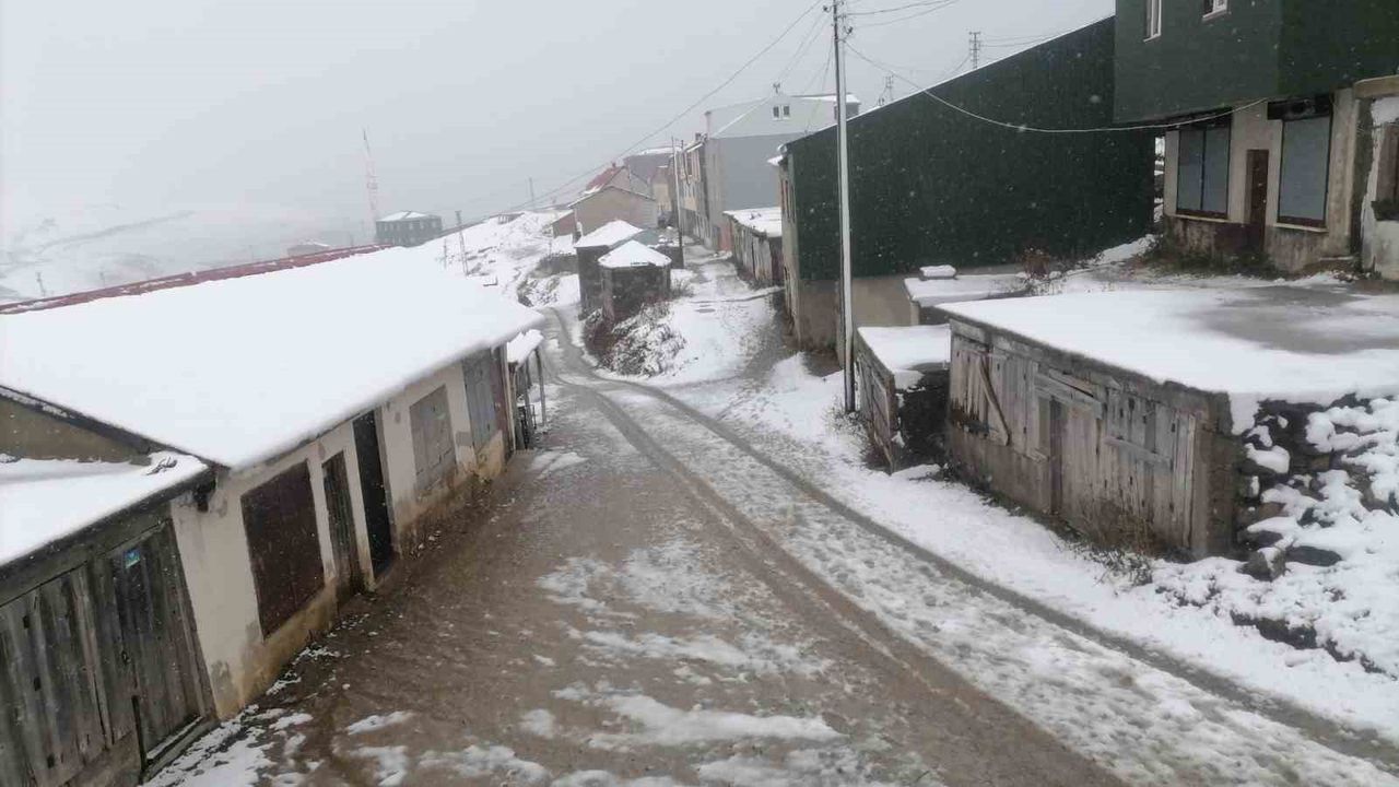 Kadırga Yaylası'nda kar yağışı Gümüşhane'yi beyaza bürüdü