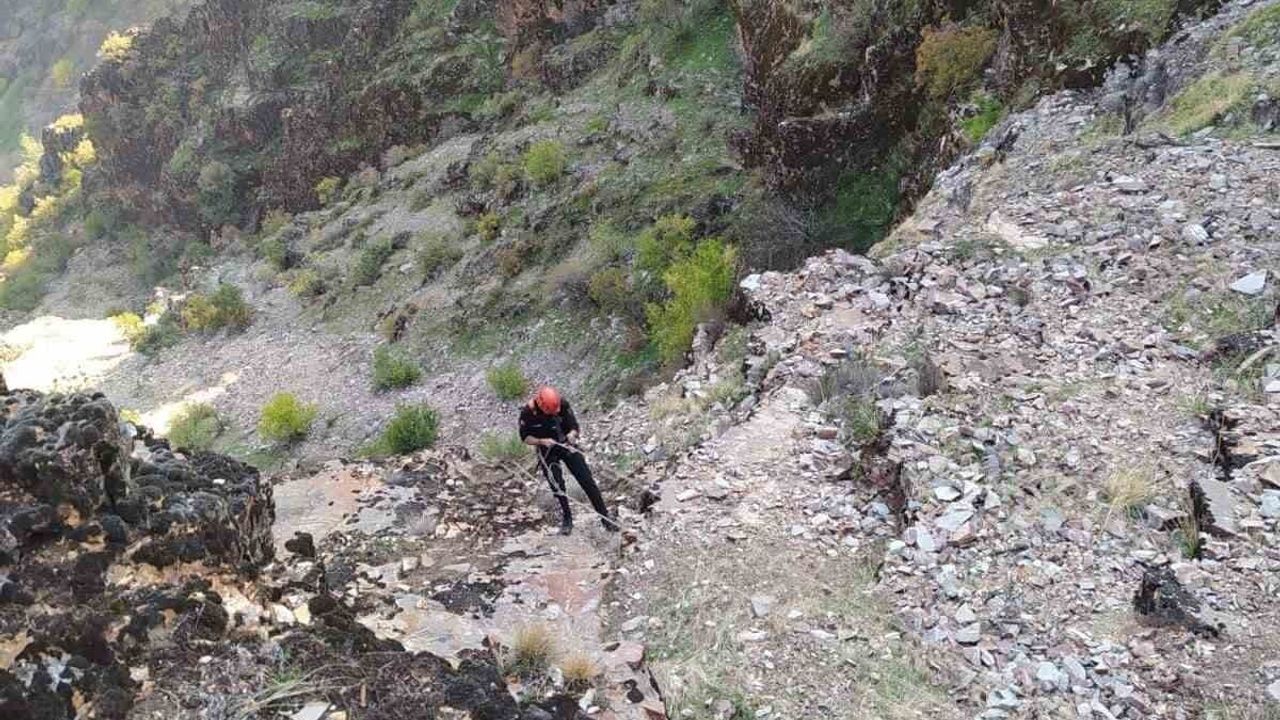 Kahramanmaraş'ta kayalıklarda mahsur kalan 5 keçi itfaiye ekiplerince kurtarıldı