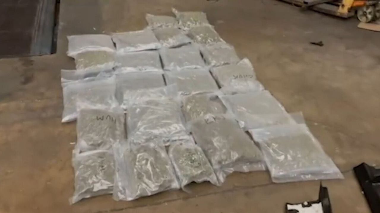 Kapıkule’de 23 kilo 820 gram skunk ele geçirildi