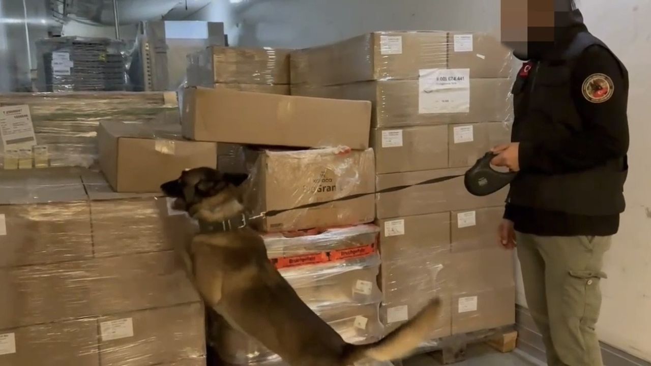 Kapıkule'de 6 ton 400 kilogram sentetik kannabinoid üretimine yetecek madde ele geçirildi