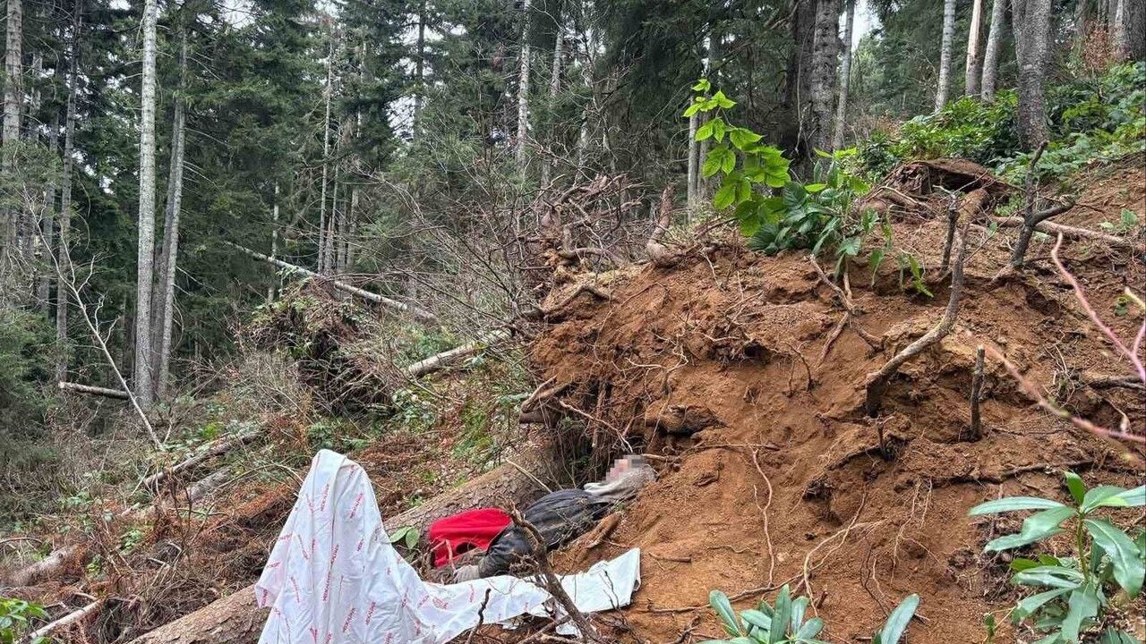 Karadağ Yaylası'nda ağaç altında kalan kişi yaşamını yitirdi