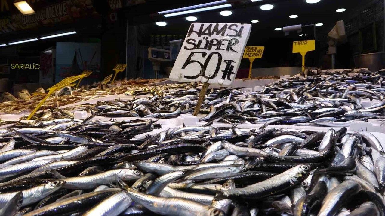Karadeniz'de 35 yılın en bereketli hamsi sezonu
