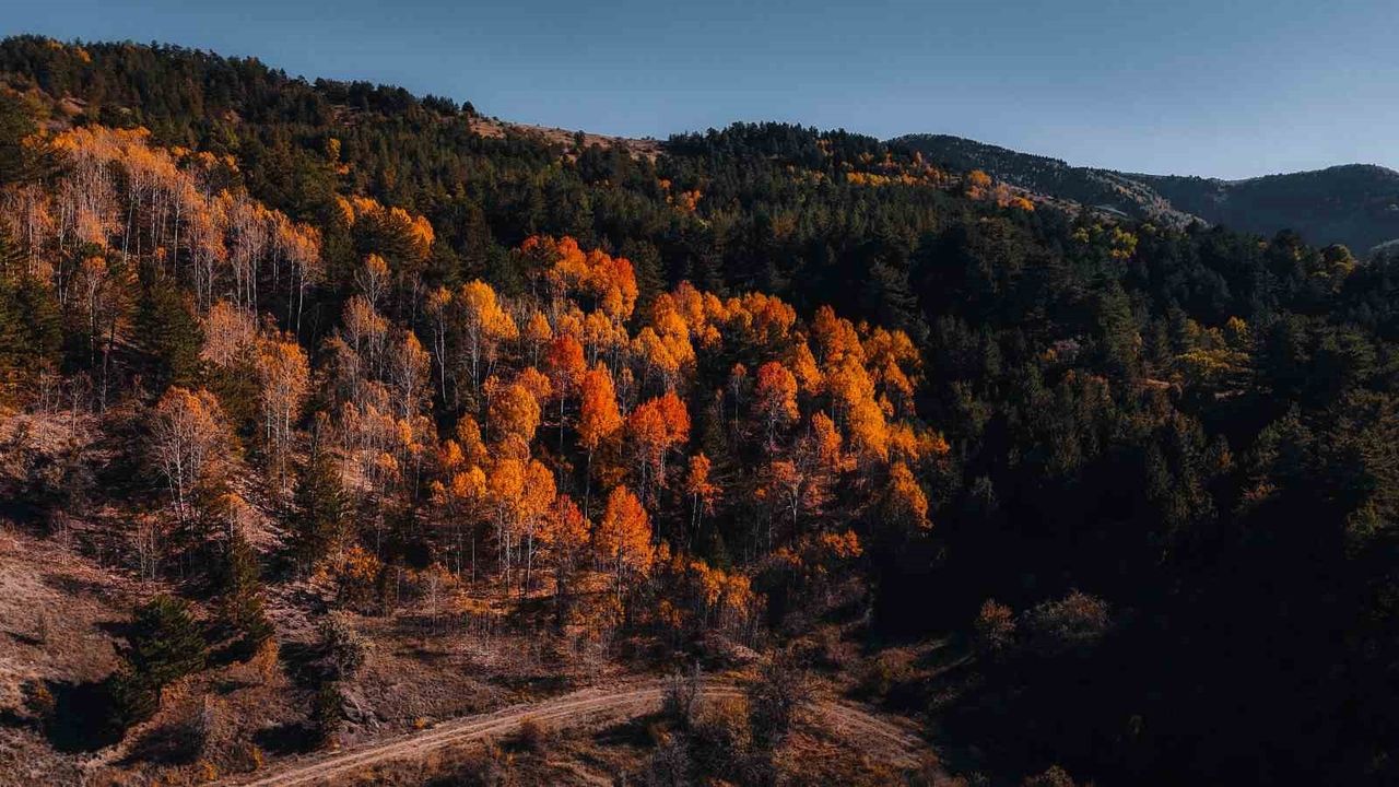 Karagöl Tabiat Parkı'nda Sonbahar Renkleri