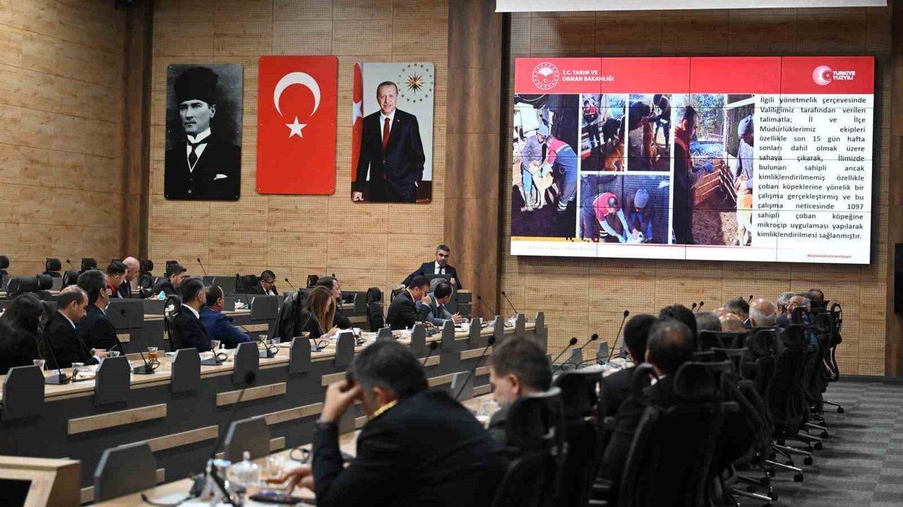 Karaloğlu: Bakımevleri yemek artıklarından mama üretmeli