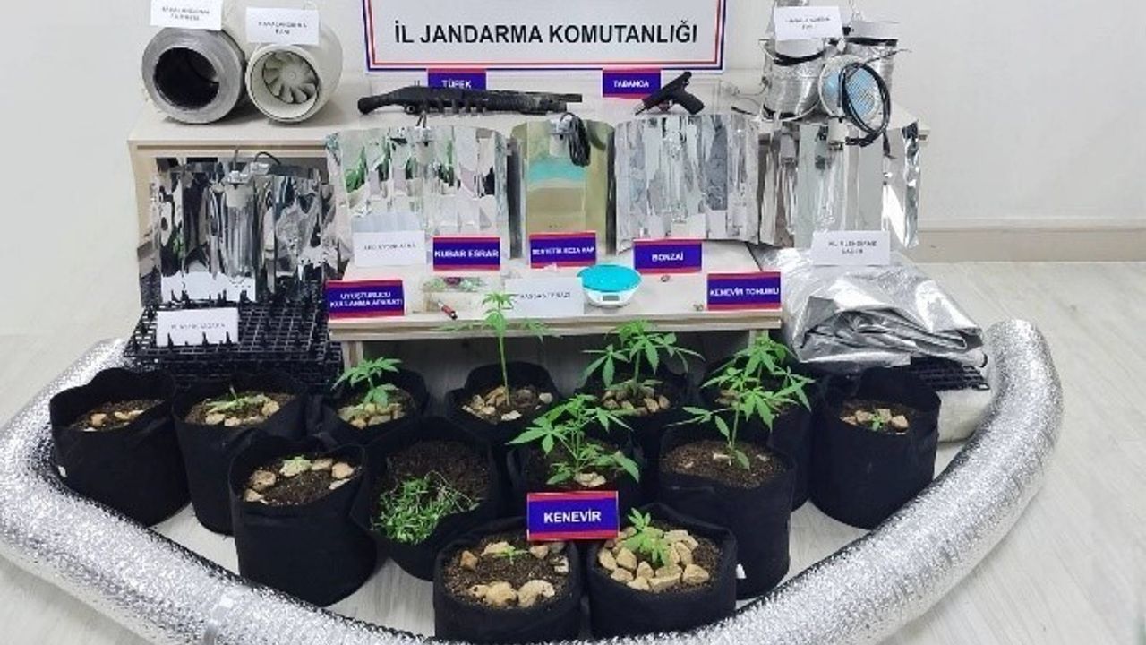 Karaman'da 148 tarihi sikke ele geçirildi, 10 tutuklama