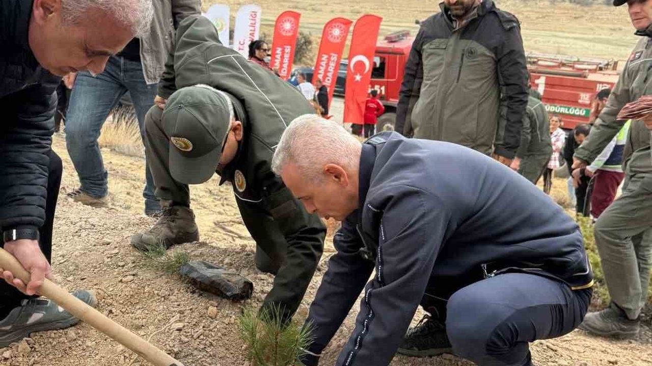 Karaman’da 20 şehit için Gödet Barajı’nda fidan dikimi