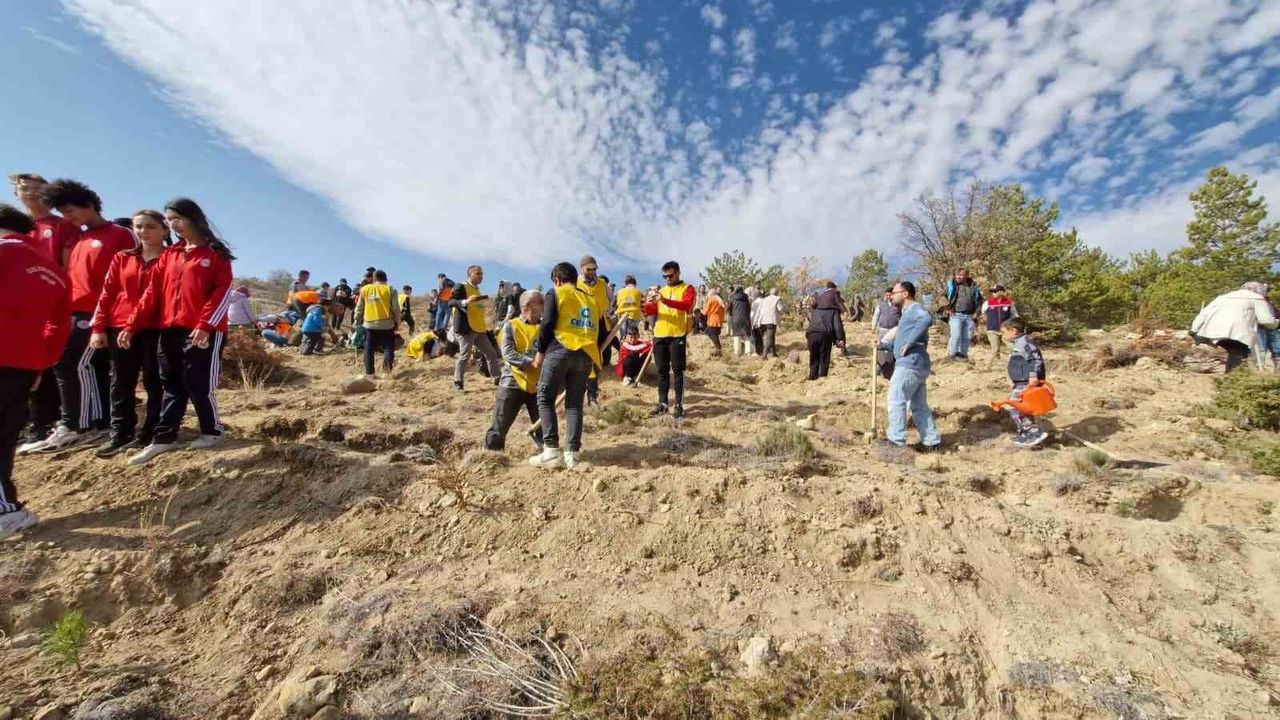 Karaman'da Milli Ağaçlandırma Günü'nde 5 bin çam fidanı dikildi