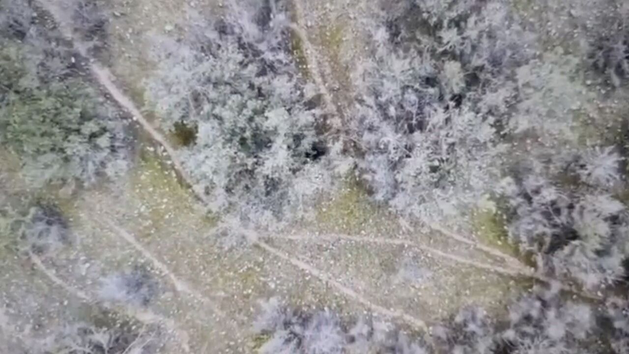 Kargı'da Kızılırmak Nehri'nde elektrikle avlanan şahıslar yakalandı