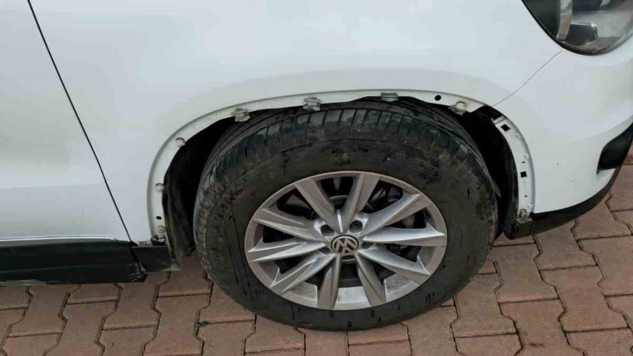 Kastamonu Cide'de sokak köpekleri park halindeki araca zarar verdi