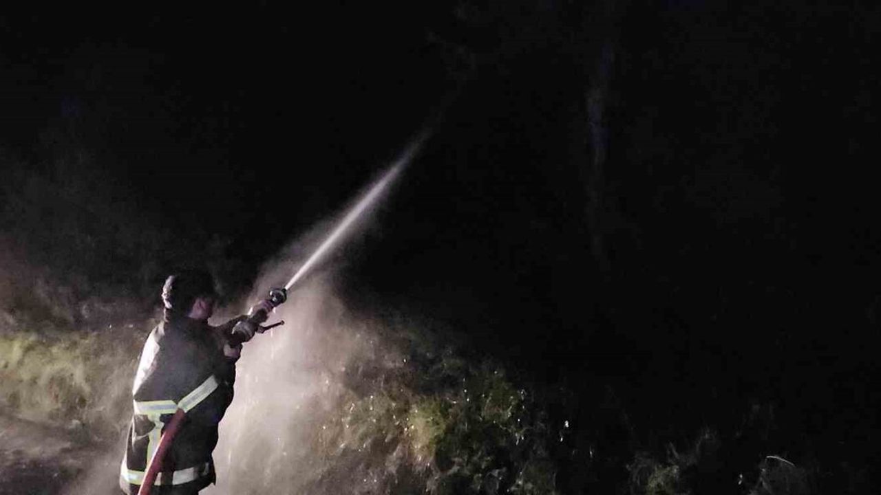 Kastamonu Cide Sofular Mahallesi'nde orman yangını söndürüldü