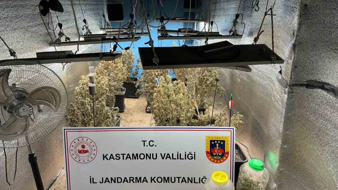 Kastamonu’da çiftlik evlerini kenevir serasına çeviren şüphelilerin yargılanması sürüyor