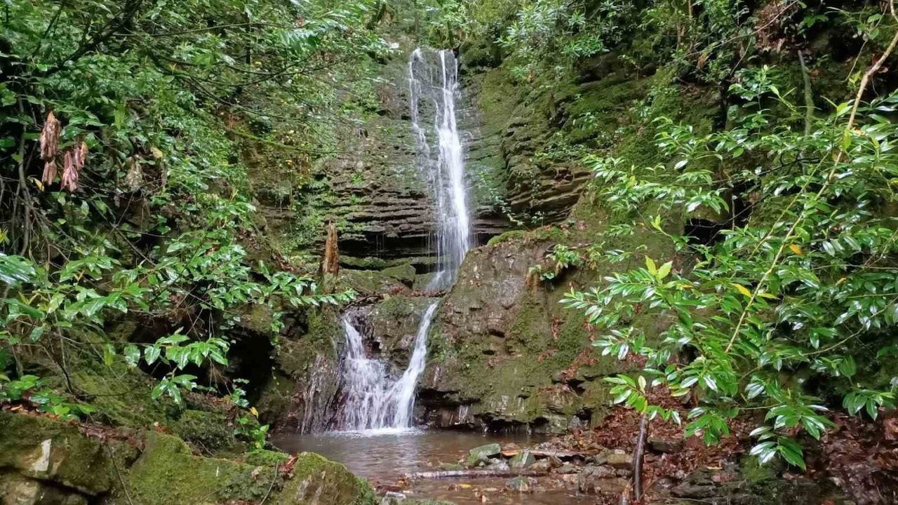 Kastamonu Güney Karadeniz Jeoparkı için UNESCO başvurusu UNESCO Türkiye Milli Komisyonu’na sunuldu