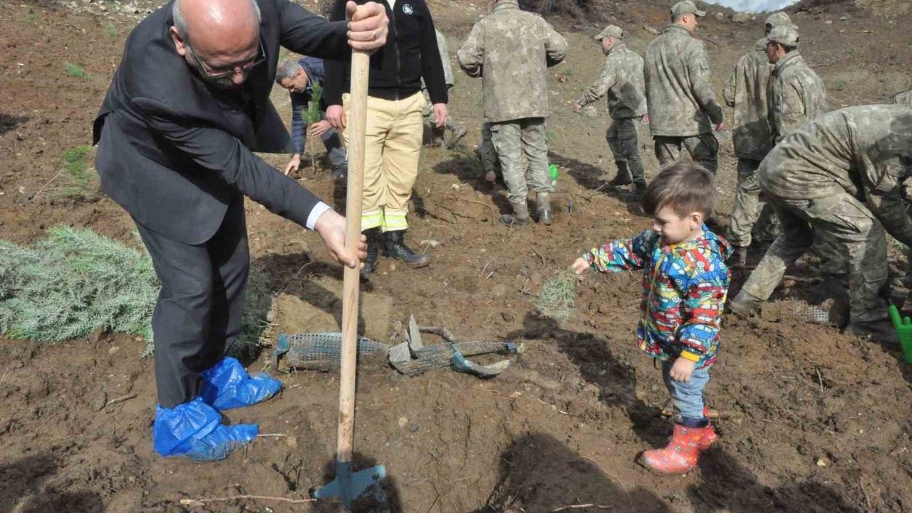 Keşan'da yangın sahasına 2 bin çam fidanı dikildi