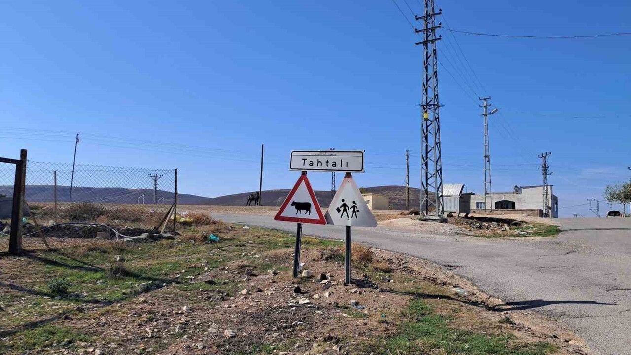 Kilis'te kurt saldırısı: Tahtalı köyünde 3 küçükbaş telef oldu, 2 yaralı