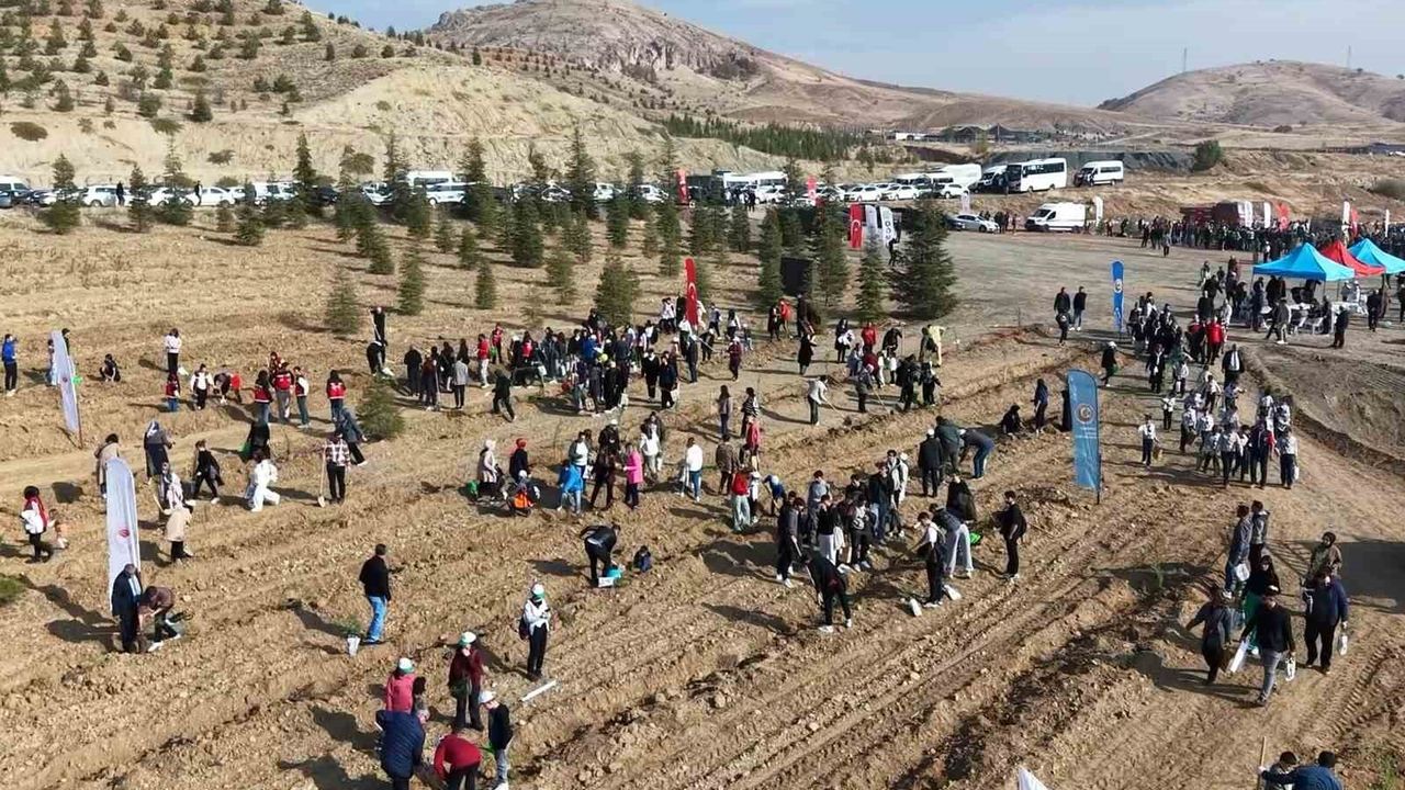 Kırıkkale’de Binlerce Fidan Toprakla Buluştu — Milli Ağaçlandırma Günü