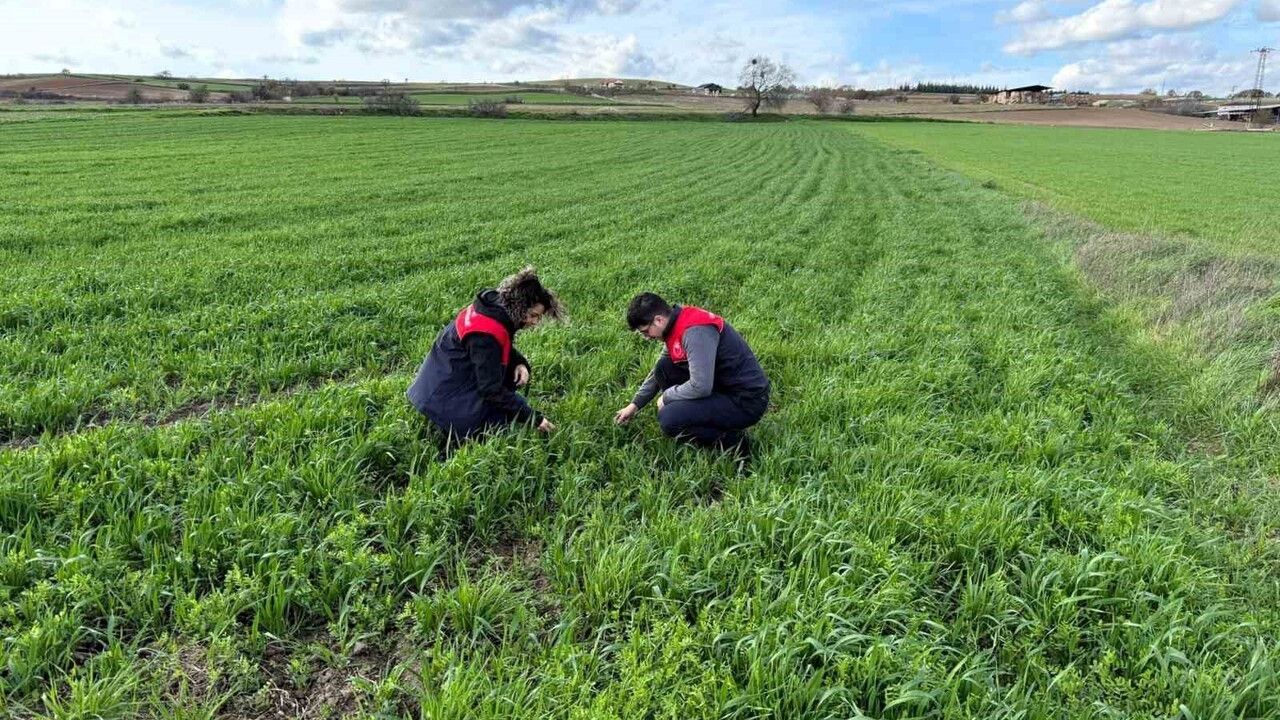 Kırklareli’nde kaba yem dağıtımı sonrası tarlalarda kontroller yapıldı