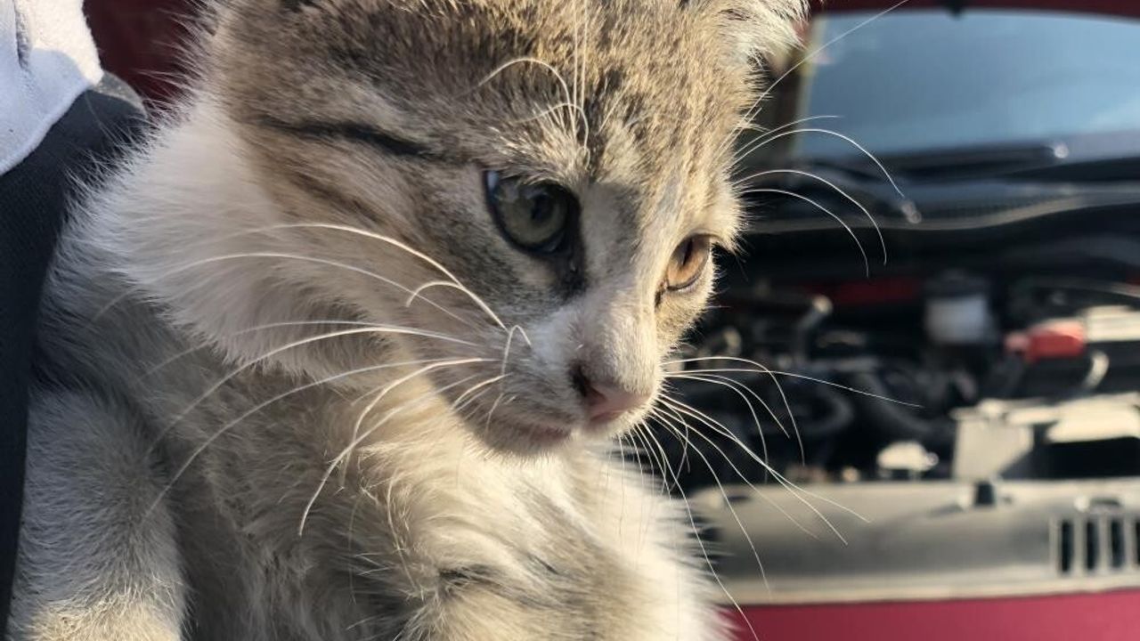 Kışın araç kaputunu çalıştırmadan önce kontrol edin: 'Kaputa vurun' uyarısı