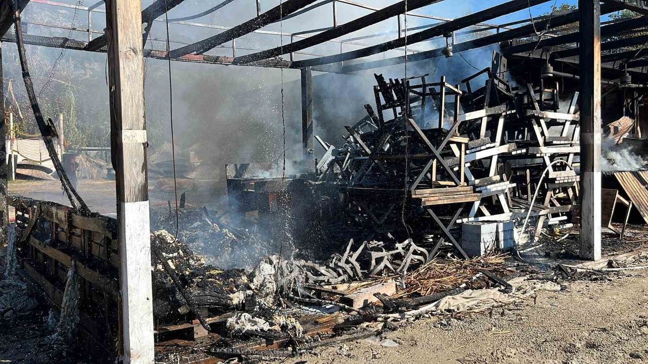 Kleopatra Plajı'nda büfe yangını — Alanya