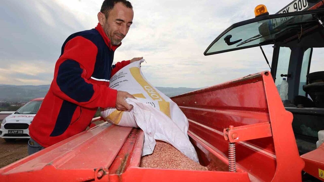 Kocaeli'de çiftçilere yüzde 75 hibe ile tohum desteği