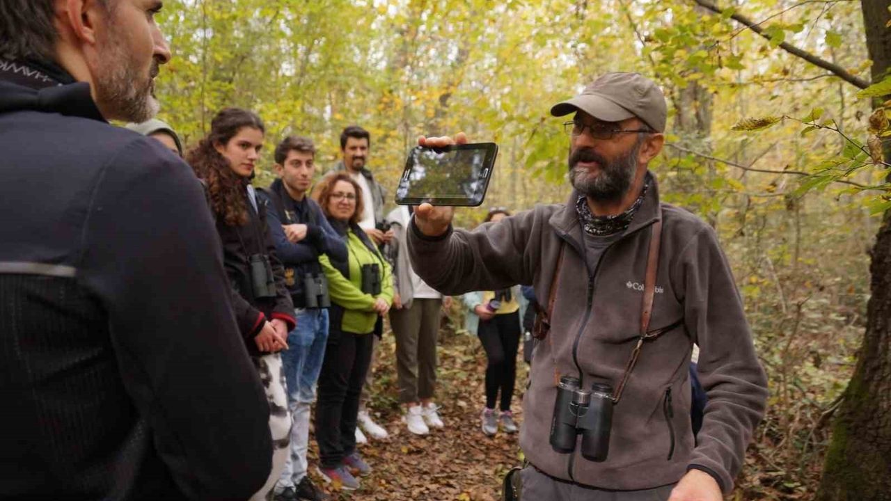 Kocaeli'de Doğa Turizmi: Ormanya ve Kuzuyayla'ın Büyüleyici Çekimi