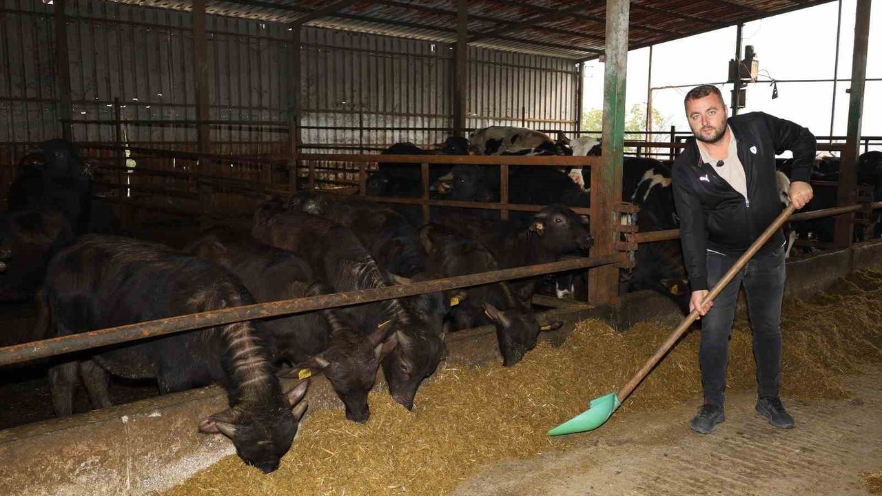 Kocaeli’de manda sayısı 3.295’e yükseldi