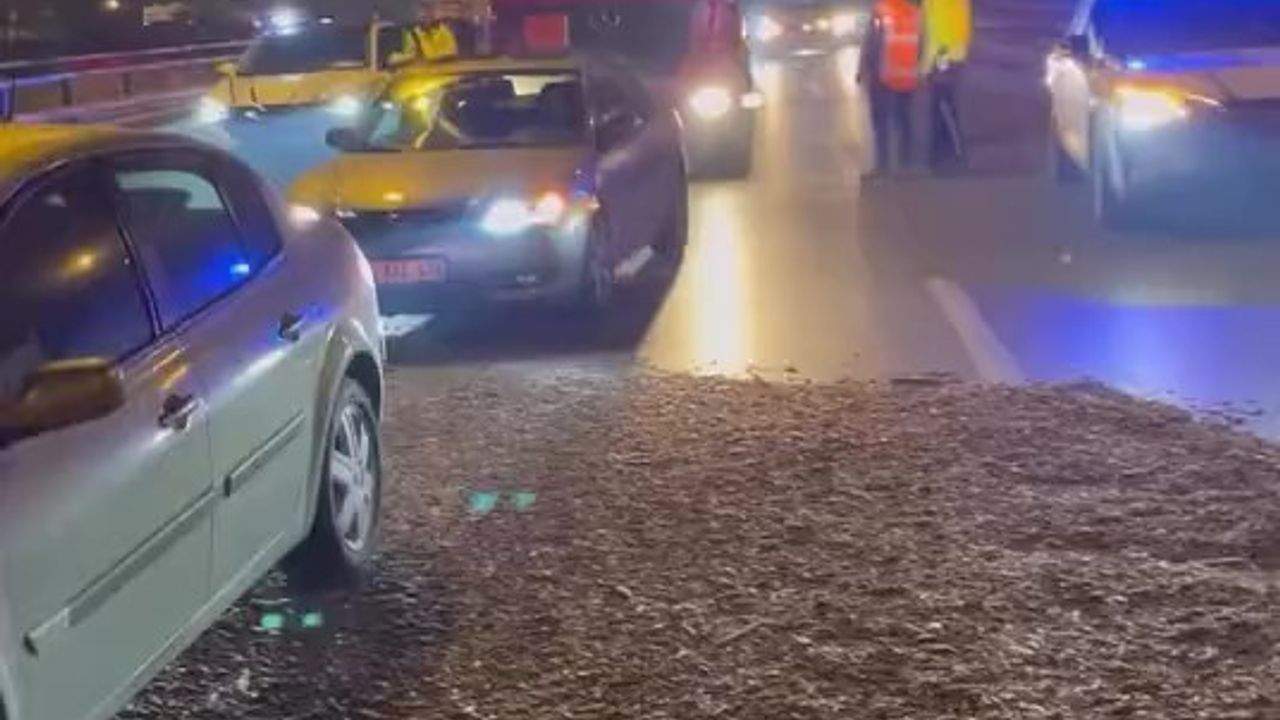 Kocaeli'de Yonga Yüklü Tır Devrildi