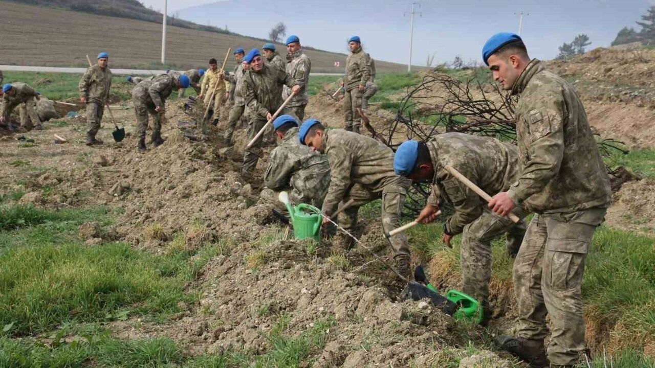 Komandolar Delice'de yanan ormanları yeniden yeşertti