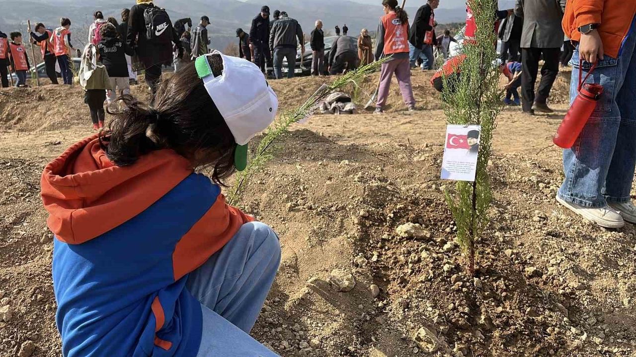 Konya'da 11 Kasım'da 33 bin 811 fidan toprakla buluştu