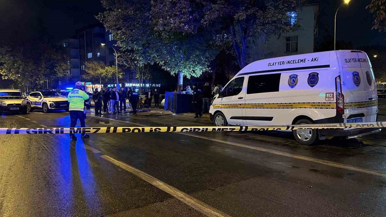 Konya'da yaya otomobilin çarpmasıyla yaşamını yitirdi