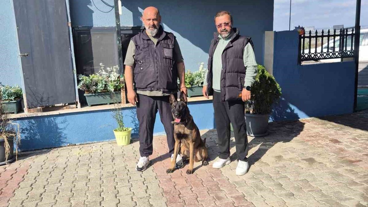 Köpek Eğitmeni Eren Ay'dan Önemli Eğitim Uyarıları