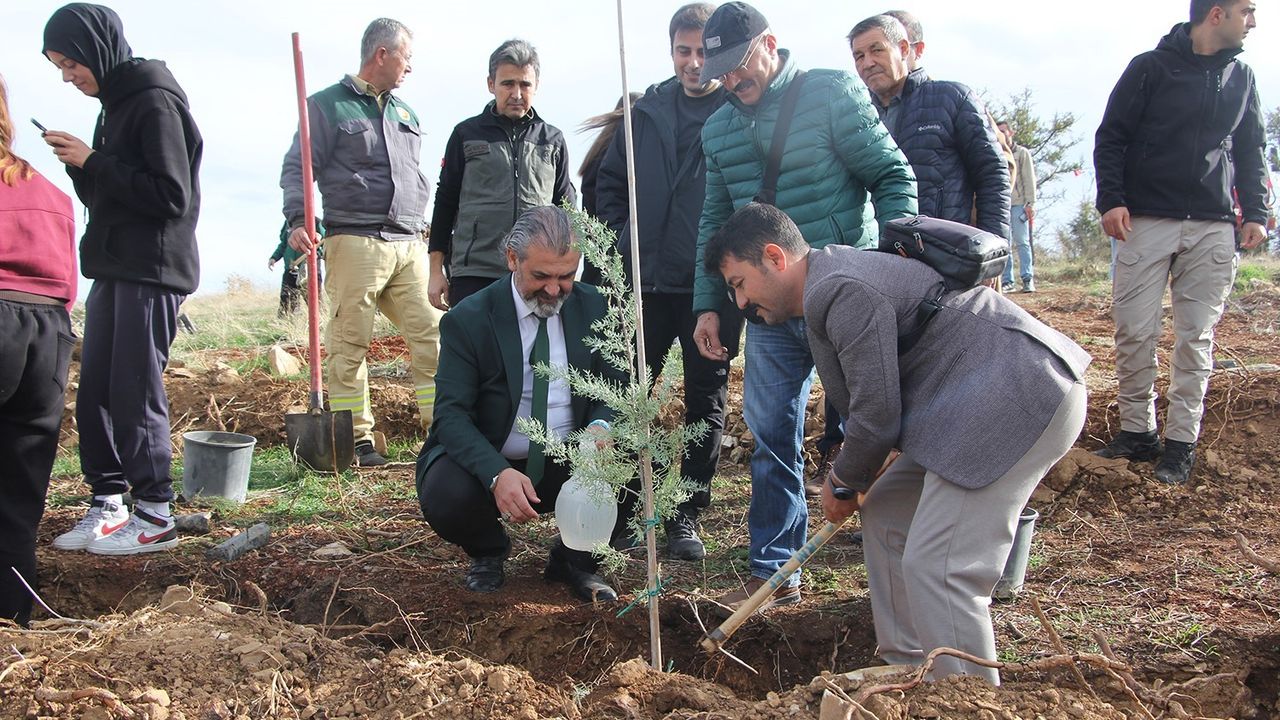Kula’da yangın bölgesine fidan dikimi: 11 Kasım Milli Ağaçlandırma Günü etkinliği