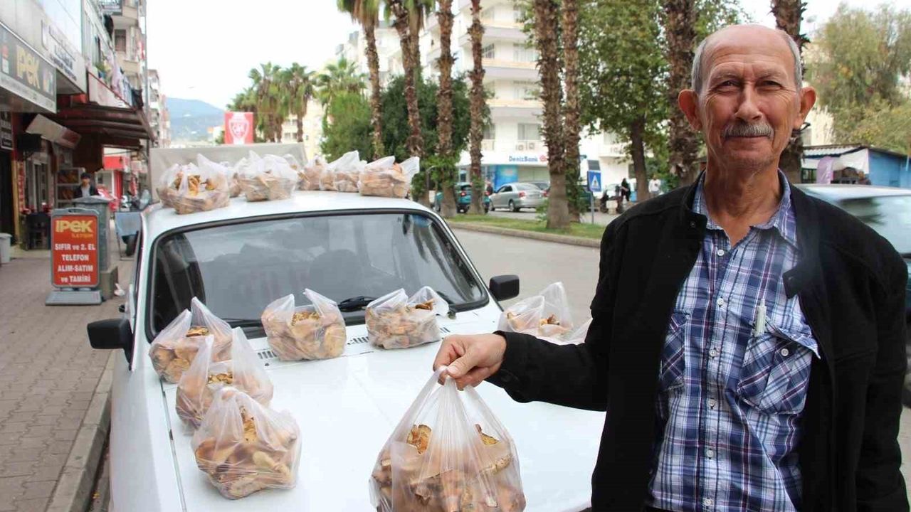 Kumluca’da Kanlıca çam mantarı yağmur sonrası kilogramı 350-450 TL arasında satılıyor