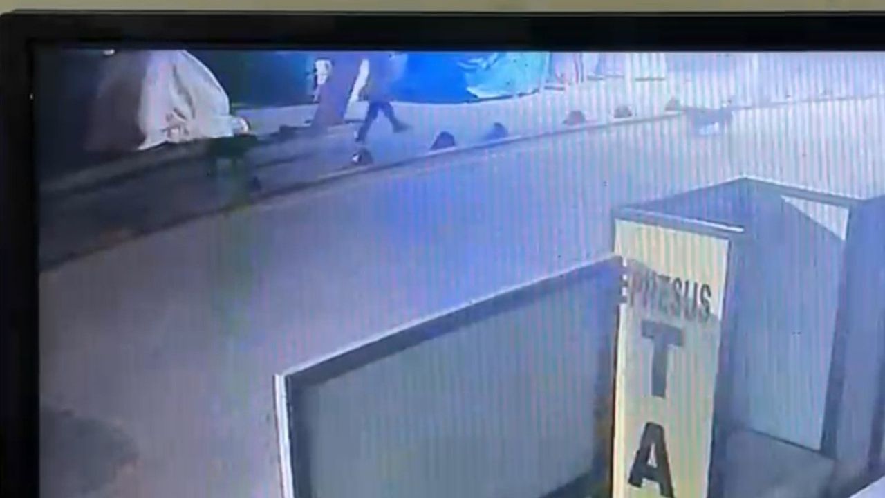 Kuşadası'nda emekli astsubay, kendisine saldırdığı gerekçesiyle köpeği vurdu; serbest bırakıldı