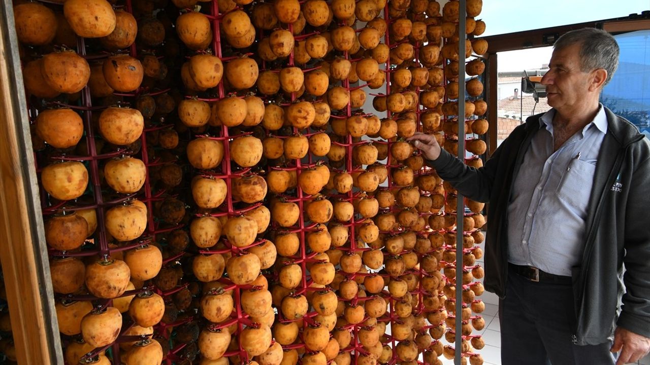 Lapsekili Üretici Sabri Özkan'dan Özgün Trabzon Hurması Projesi