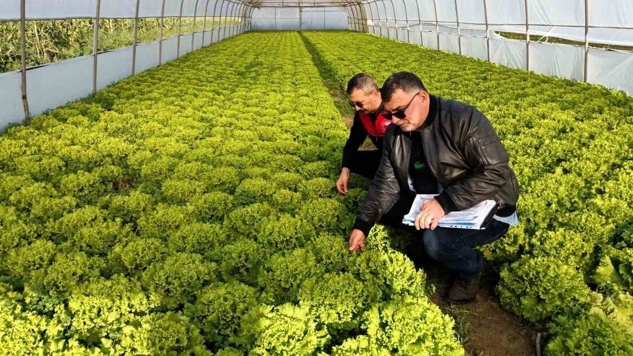 Lüleburgaz’da Seralarda Resen Kayıt ve Teknik Denetimler