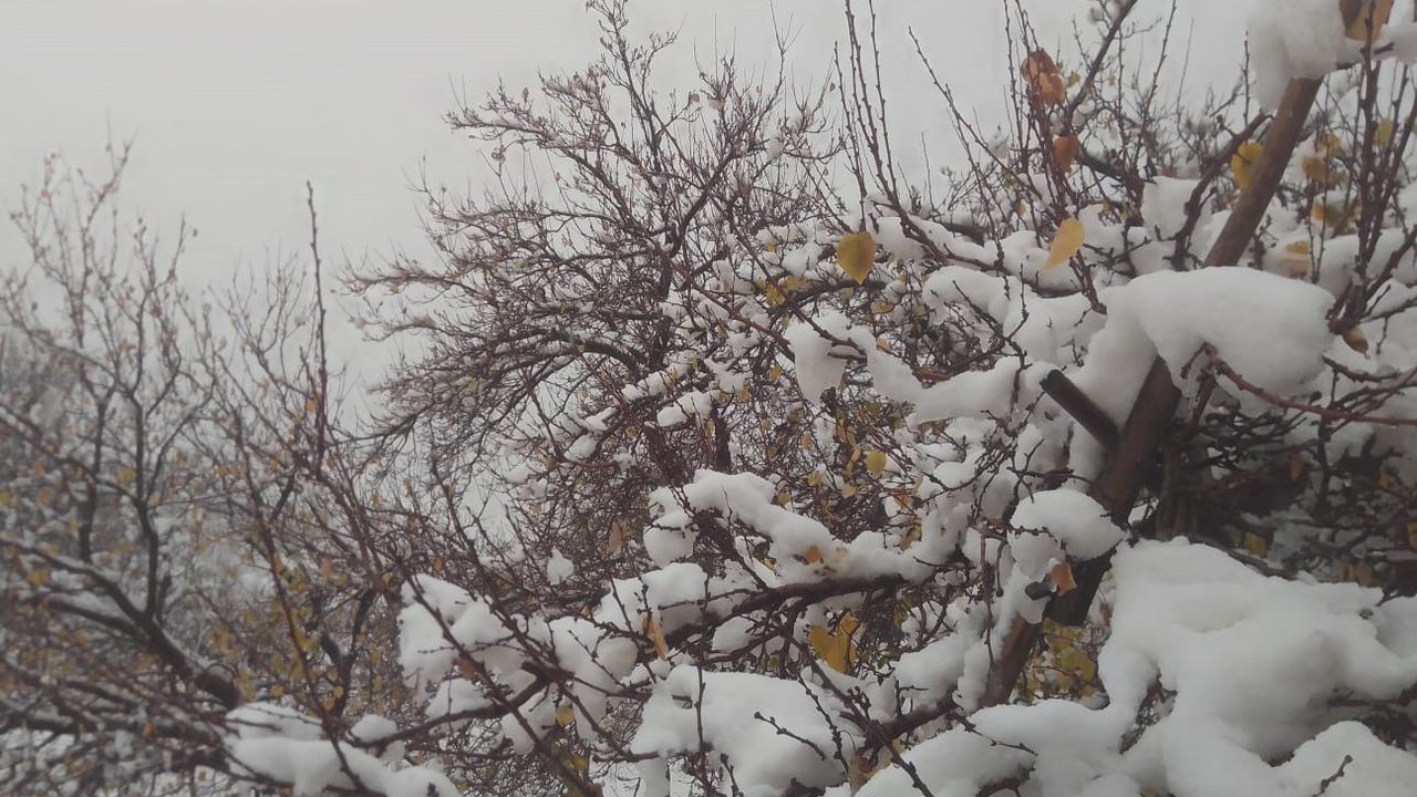 Malatya'da sağanak devam ediyor, yükseklerde kar etkili